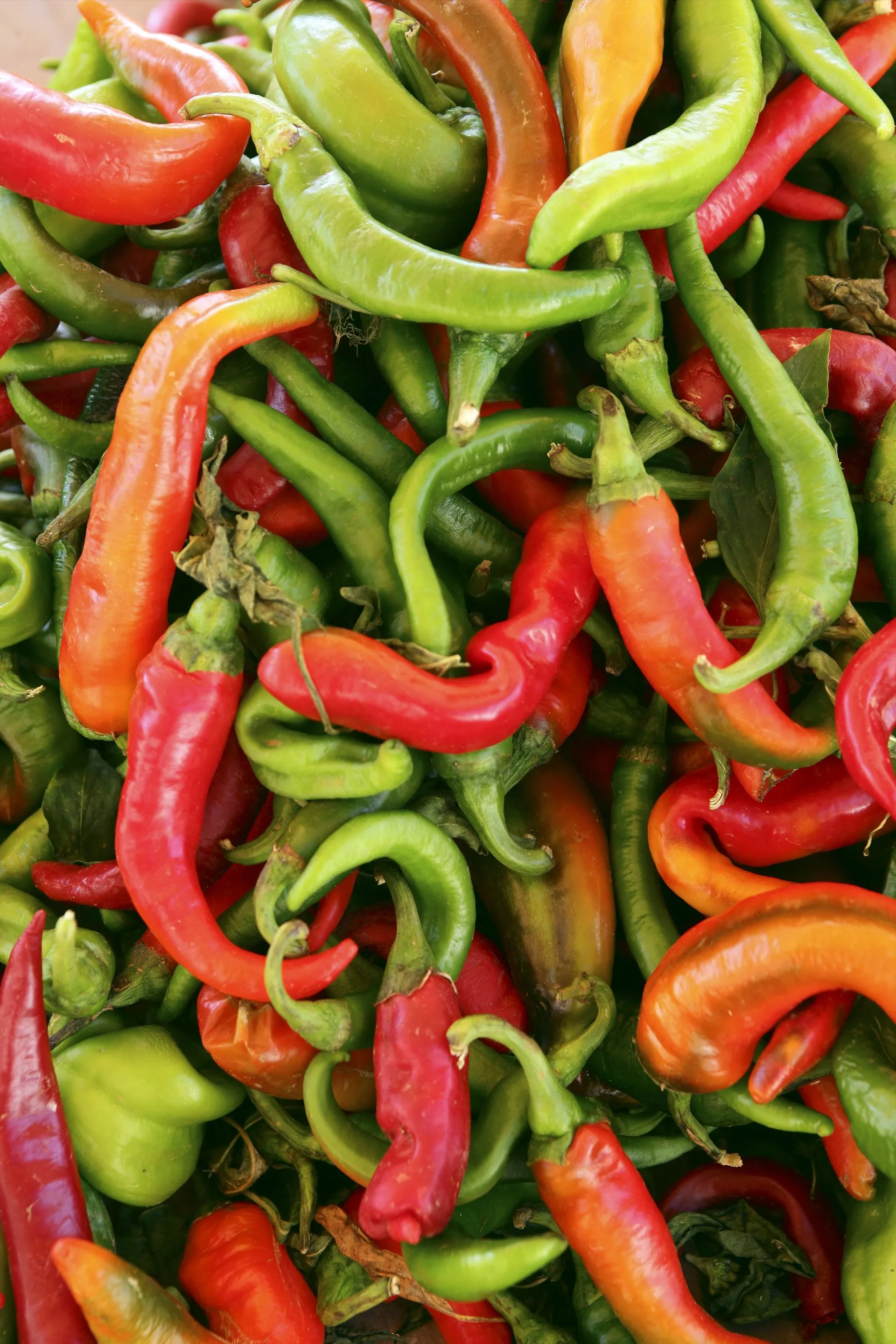 Peperoni colorati tipici della gastronomia pugliese al mercato